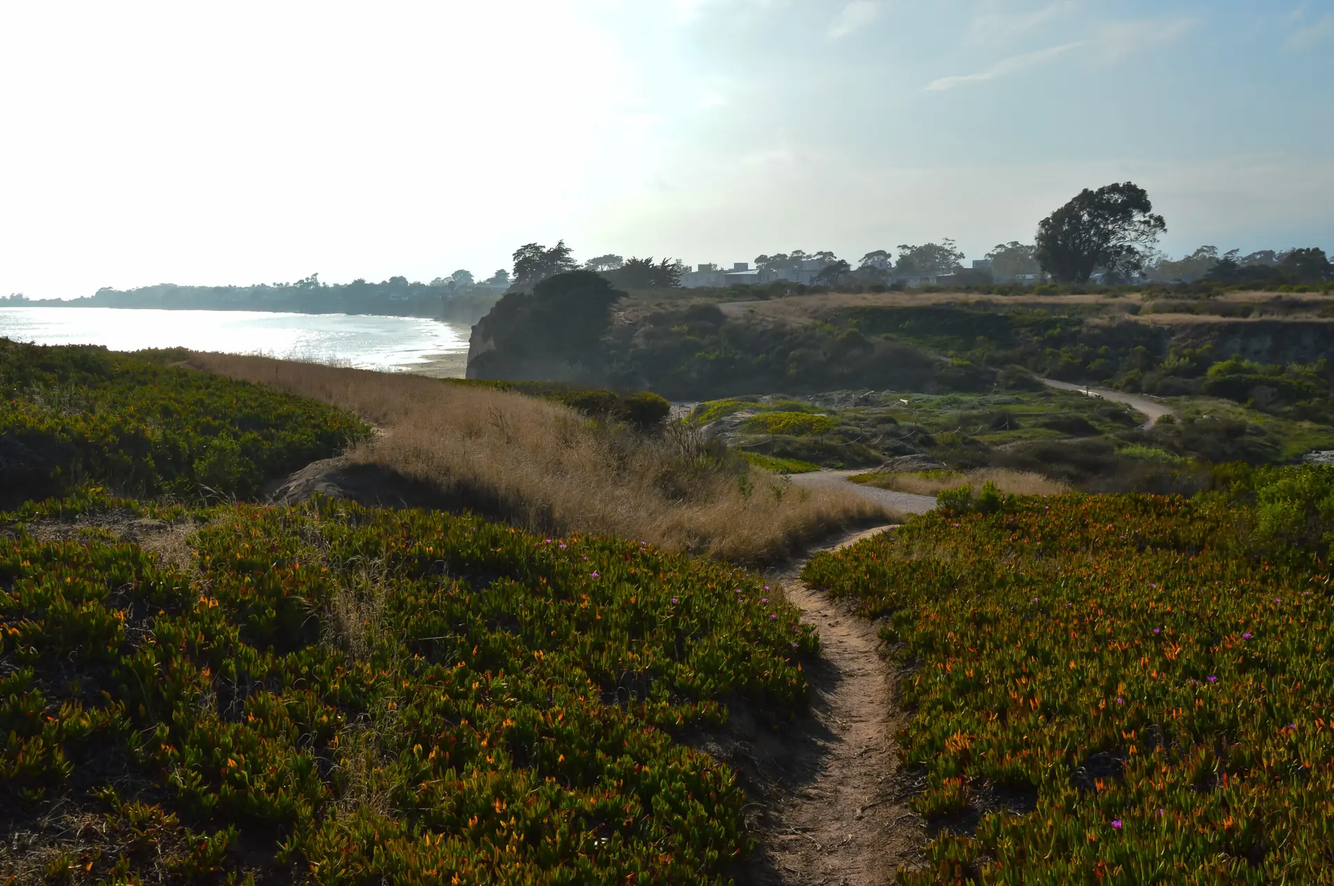 Carpinteria Managed IT Services